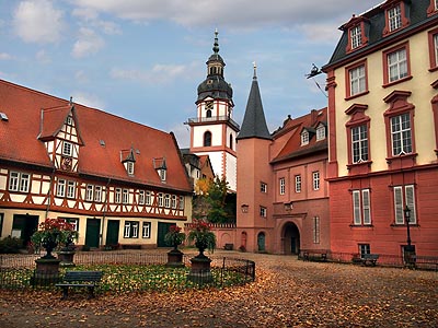 Odenwald Erbach Schloss