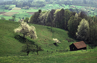 Odenwald Landschaft