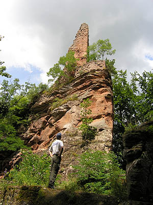 Pfalz Burgruine Blumenstein