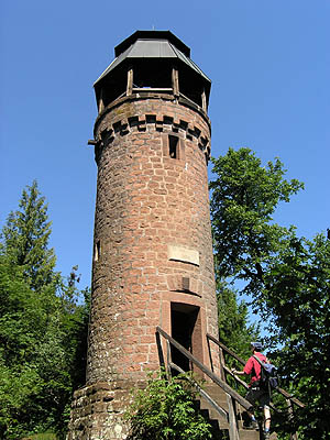Pfalz Martinsturm
