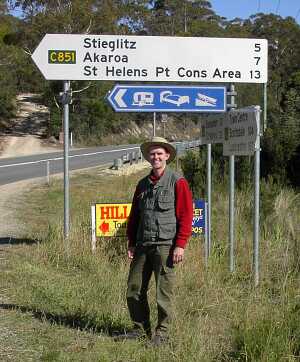 Tasmanien Stieglitz